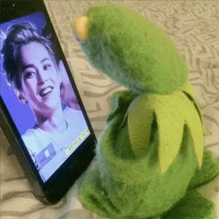 🐸 Kermit Kermit, o Sapo, Muppet, Fantoche, Entretenimento, Brinquedo, Personagem whatsapp sticker