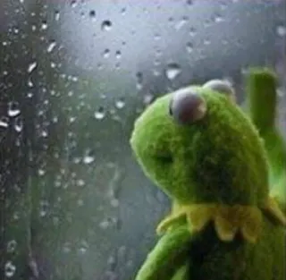 😔 Kermit Kermit la rana, Muppets, triste, pioggia, malinconia, meme, rana telegram sticker