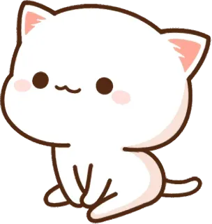 ☺️ kot, kotek, słodki, uroczy, biały whatsapp sticker