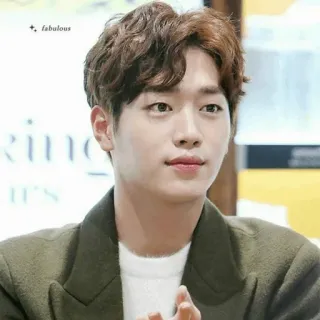 🖇 fabulous Mann, Porträt, Schauspieler, Promi, Koreanisch whatsapp sticker