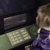 💴