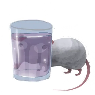 🥃 mysz, szkło, napój, zwierzę, fioletowy, szczur whatsapp sticker