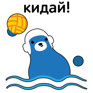 🤽‍♀️ кидай! Wasserball, Seehund, niedlich, Schwimmen, Sport telegram sticker