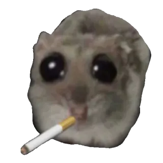🚬 햄스터, 담배, 흡연, 동물 whatsapp sticker