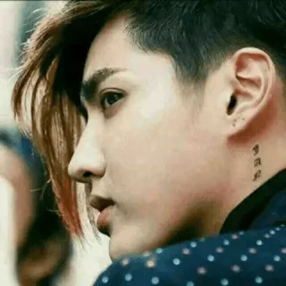 😒 要自由 homme, Kris Wu, Idole, Chanteur, K-pop, Chinois, Tatouage whatsapp sticker