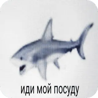 👳 иди мой посуду telegram sticker
