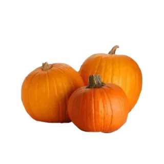 🎃 南瓜, 橙色, 蔬菜, 食物, 秋天, 秋天, 万圣节 telegram sticker