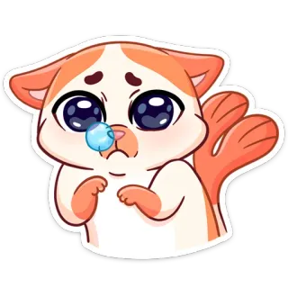 😪 Katze, traurig, weinen, Anime, süß, Cartoon, Sticker telegram sticker
