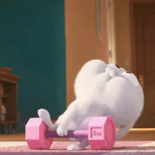 🍓 Snowball The Secret Life of Pets แมว, ดัมเบล, ออกกำลังกาย, ออกกำลังกาย, ยกน้ำหนัก, ฟิตเนส telegram sticker