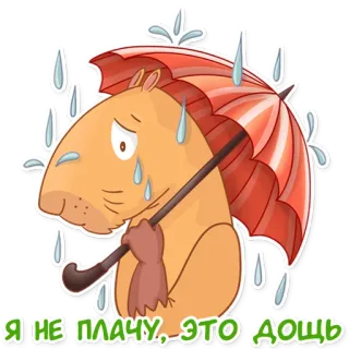 😥 Я НЕ ПЛАЧУ, ЭТО ДОЖДЬ Kapibara, Hujan, Sedih, Payung, Binatang, Lucu telegram sticker