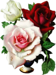 🌺 ดอกไม้, กุหลาบ, ช่อดอกไม้, ลายดอก, การจัดดอกไม้, ธรรมชาติ telegram sticker