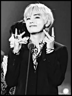 🖇 V V, BTS, K-Pop, Pop Coréenne, Chanteur, Idole telegram sticker