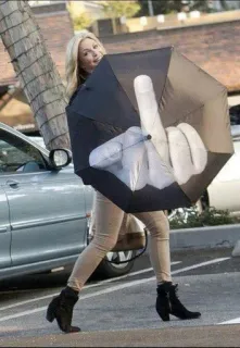 🖕 guarda-chuva, dedo do meio, ofensivo, gesto, humor telegram sticker