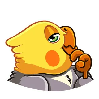 🤔 pássaro, calopsita, adesivo, engraçado, expressão, atitude telegram sticker
