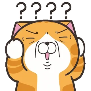 ❓ 猫, 困惑, 问题, 卡通, 动物 telegram sticker