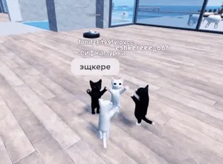 🌟 эщкере chats, danse, russe, mème whatsapp sticker