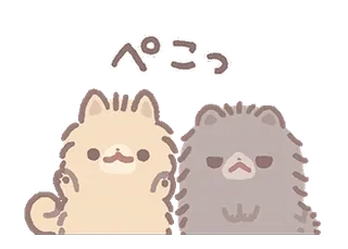 ⭐ ぺこっ chat, mignon, animal, salutation, amical telegram sticker