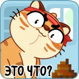 💩 ЭТО ЧТО? mèo, hoạt hình, câu hỏi, hài hước, biểu cảm whatsapp sticker