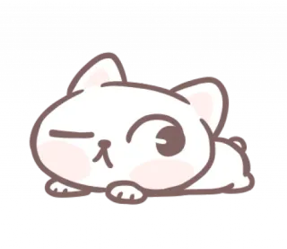 🎀 mèo, dễ thương, động vật, kawaii, lười biếng, nháy mắt telegram sticker