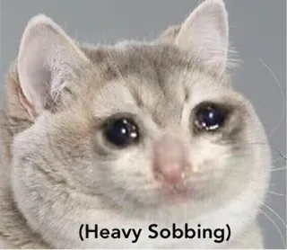 😭 (Heavy Sobbing) chat, triste, sanglotant, pleurant, mème telegram sticker