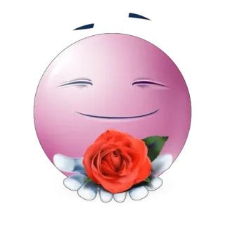 🌹 emoji, pink, rose, flower, cute, love telegram sticker