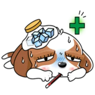 🤒 chó, ốm, bệnh, nhiệt kế, túi chườm đá, phim hoạt hình, biểu tượng cảm xúc, sức khỏe telegram sticker