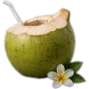 🥥