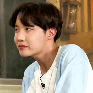 🎋 J-Hope J-Hope, BTS, K-pop, idol, musician, singer, celebrity telegram sticker