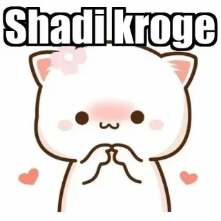 ⚜ Shadi kroge chat, mignon, mariage, mariage, demande en mariage, amour, dessin animé, animal whatsapp sticker
