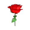🌹
