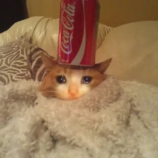 😿 chat, pleure, triste, coca-cola, canette de soda, drôle, mème telegram sticker