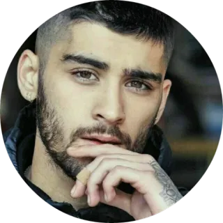 🤔 Zayn Malik Zayn Malik, singer, celebrity, portrait telegram sticker