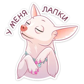 🐾 У МЕНЯ ЛАПКИ chihuahua, cachorro, animal de estimação, adesivo, animal whatsapp sticker