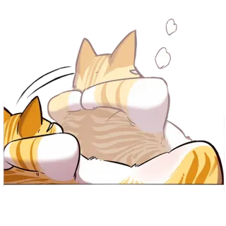 Кайден whatsapp stickers