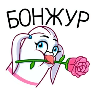 🌷 БОНЖУР konijn, roos, groet, bonjour, dier, schattig, bloem whatsapp sticker
