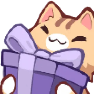 🎁 kat, cadeau, cadeau, schattig, dier telegram sticker