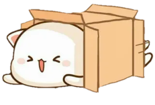 😄 gato, caja, lindo, kawaii, dibujos animados, animal whatsapp sticker