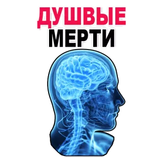 😝 ДУШЕВЫЕ МЕРТИ brain, anatomy, intellect, mind, human, head telegram sticker