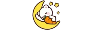 🌙 oso, luna, dormir, lindo, dibujos animados, estrellas whatsapp sticker