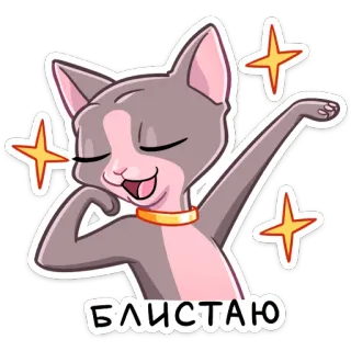 🤩 БЛИСТАЮ Katze, Sphynx Katze, Funkeln, Glanz, Glitzer, Russisch whatsapp sticker
