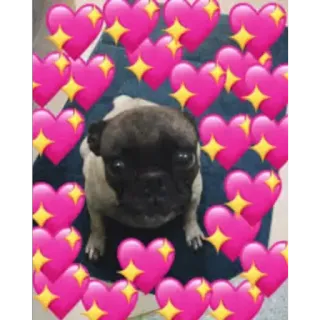 doggo hearts telegram stickers