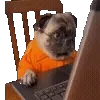 👨‍💻