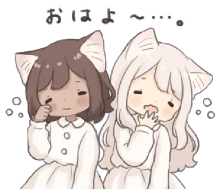 🍄 おはよ〜…。 动漫, 卡哇伊, 猫娘, 可爱, 漫画, 早上 whatsapp sticker