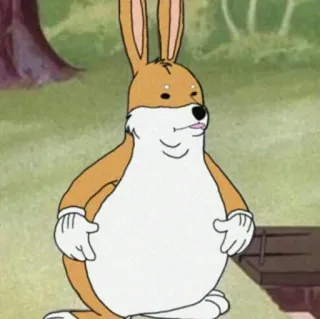 🤪 cartoon, konijn, dier, grappig, meme telegram sticker