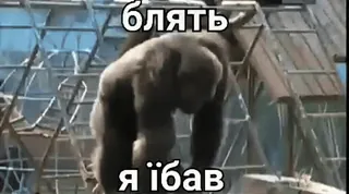 🚬 Блять
Я їбав goryl, obraźliwe, ukraiński, przekleństwa telegram sticker