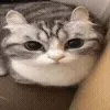 🤯