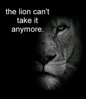 😭 the lion can't take it anymore. telegram sticker