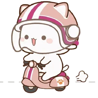 🛵 gatto, scooter, casco, carino, kawaii, animale telegram sticker