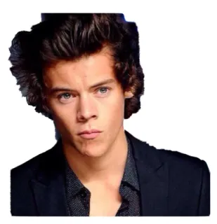 😳 Harry Styles harry styles, singer, one direction, celebrity, musician, portrait telegram sticker