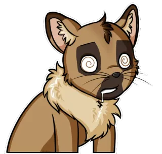 😵 gatto, stordito, occhi a spirale, animale, cartone animato whatsapp sticker
